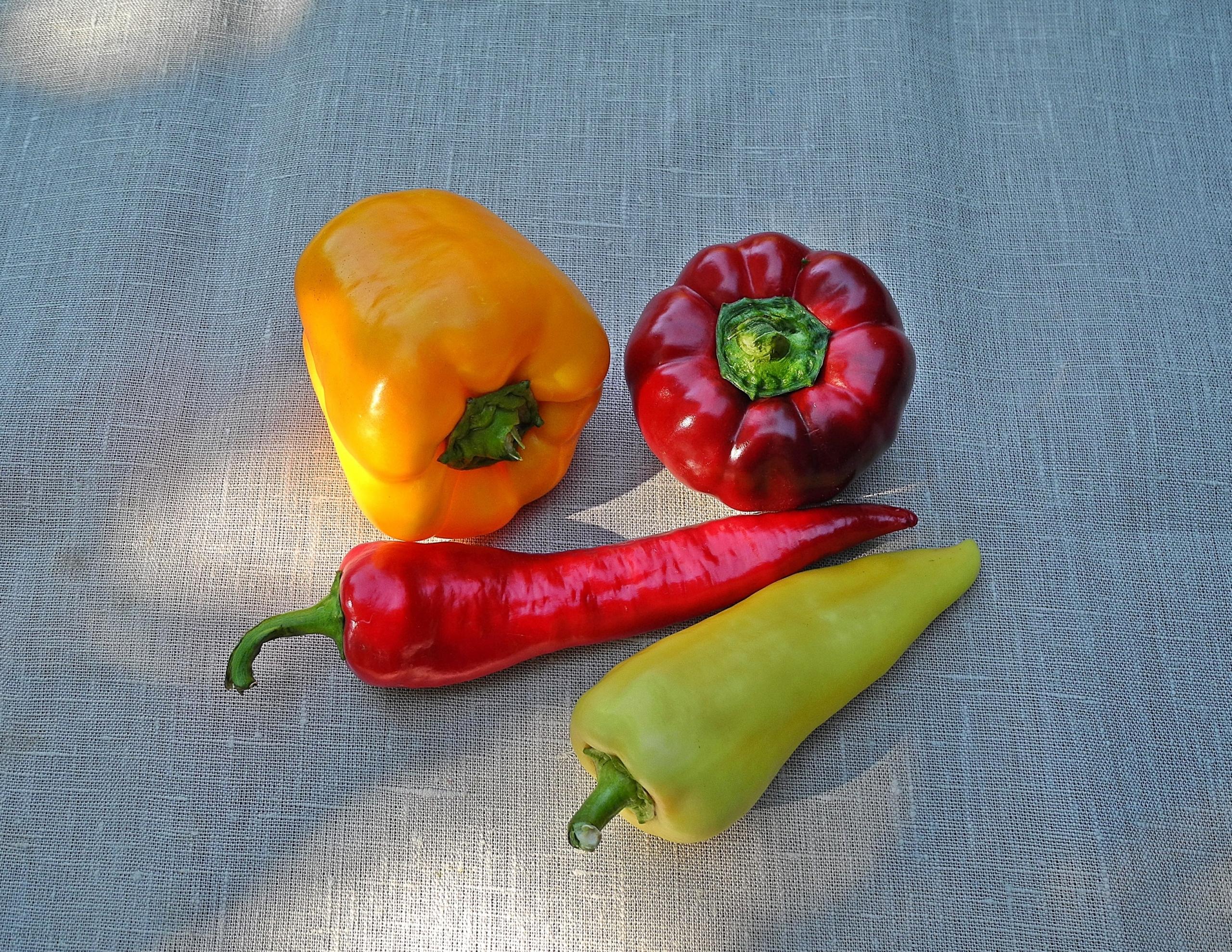 La quimica de los alimentos favoreció tanto a la creación como al consumo de alimentos.