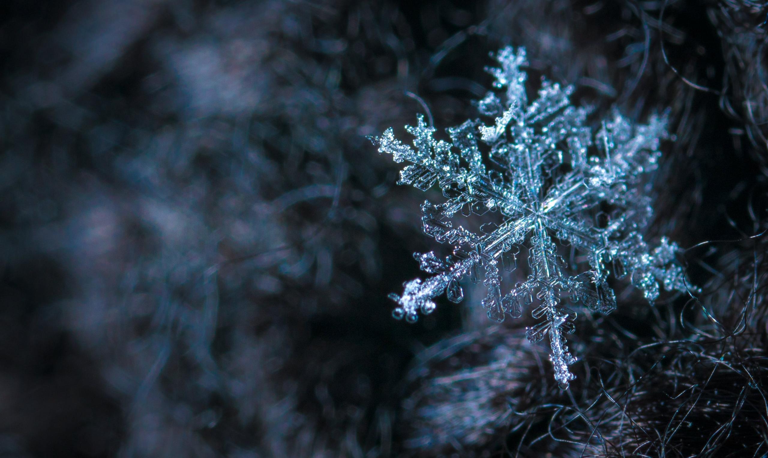 Un copo de nieve, visto en detalle, denota un orden yna progresión lógica matemática. 