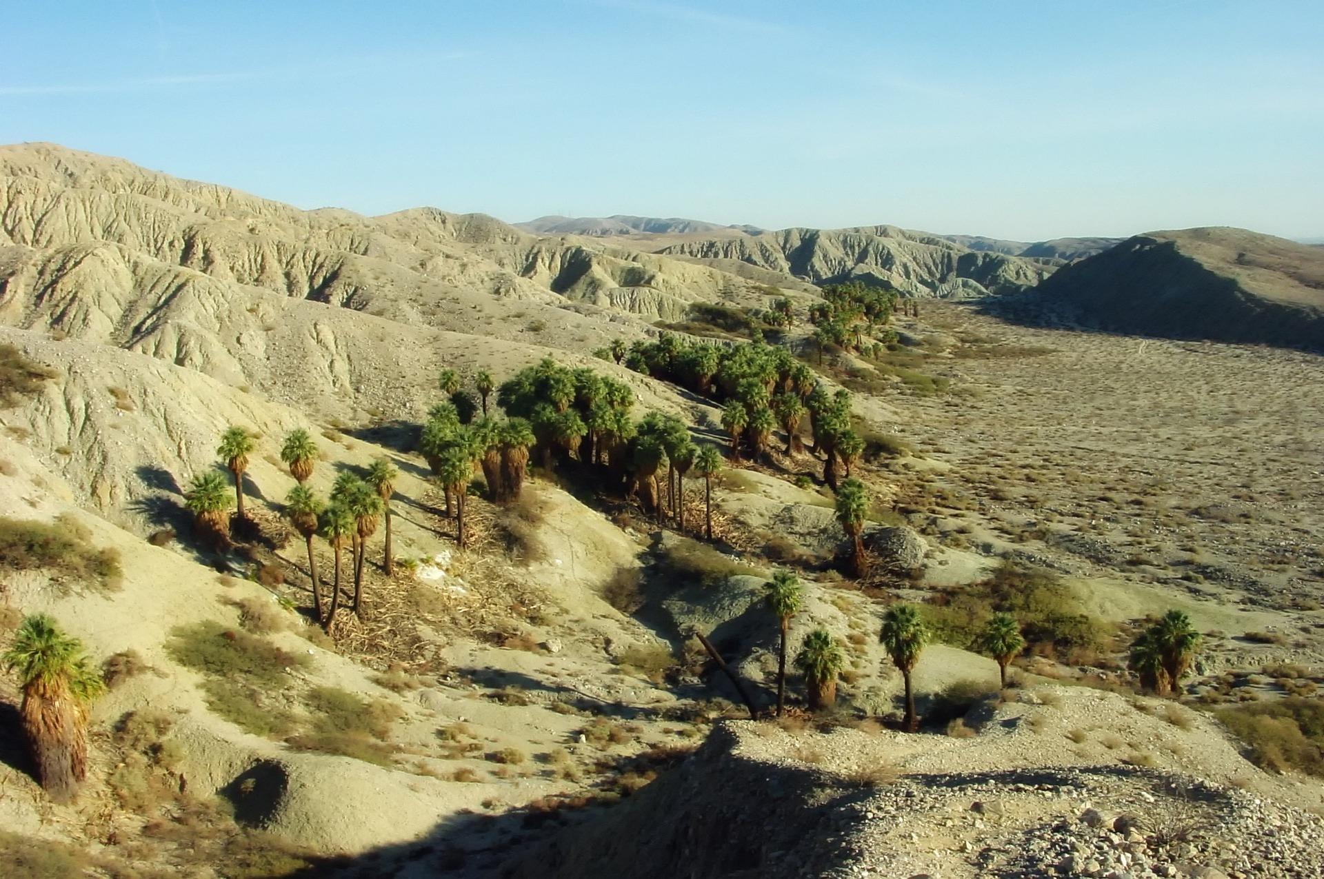 El festival de Coachella ha traído abundancia económica a los pueblos aledaños.