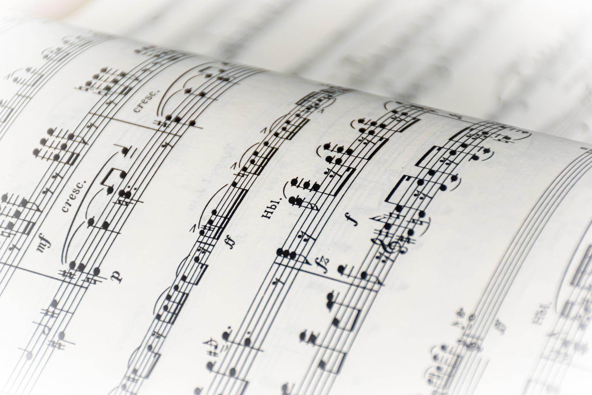 Si leemos una partitura tendremos que identificar las notas y su tonalidad.