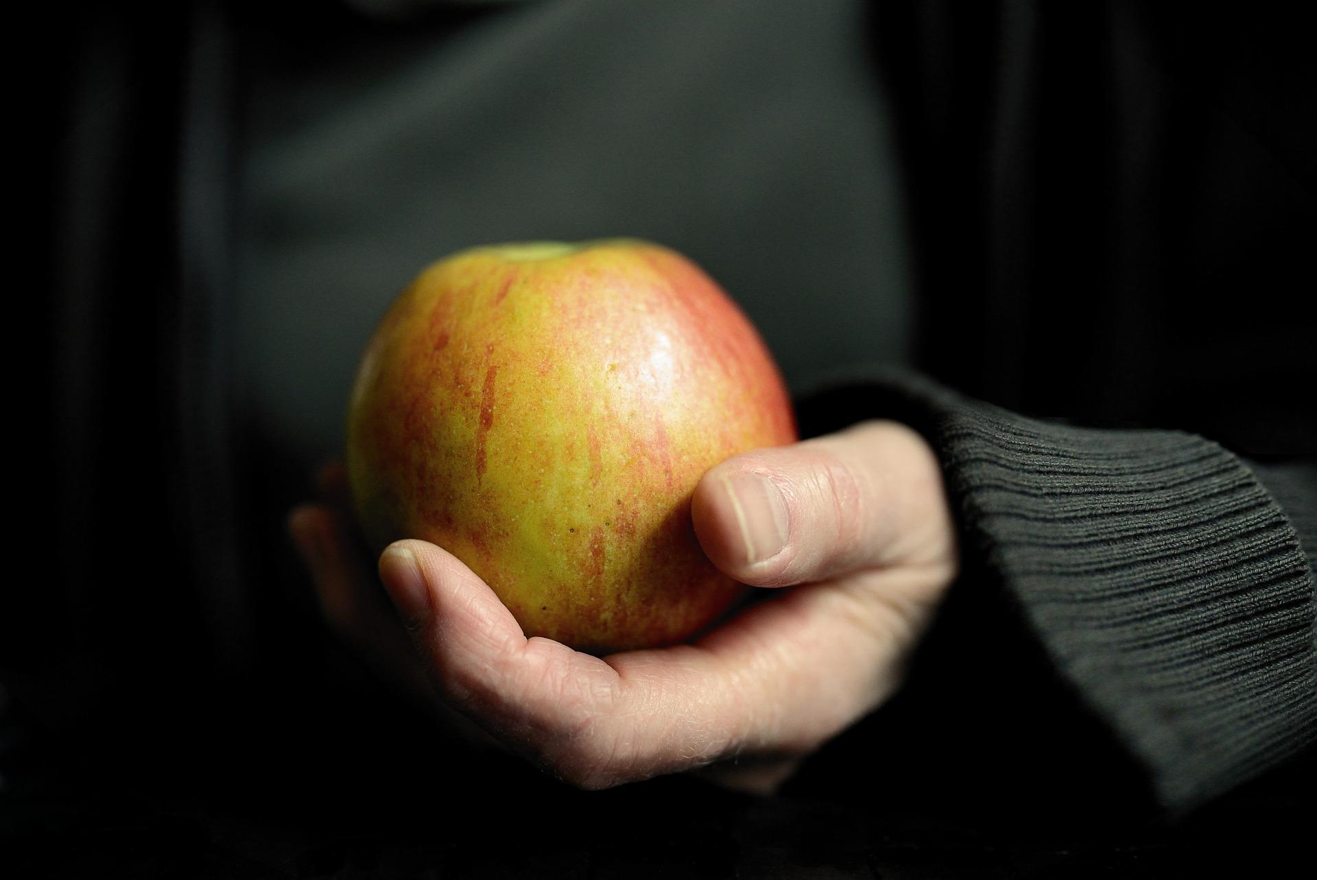 Las manzanas son frutas que posee bastante fibra y son recomendadas para romper el ayuno. 