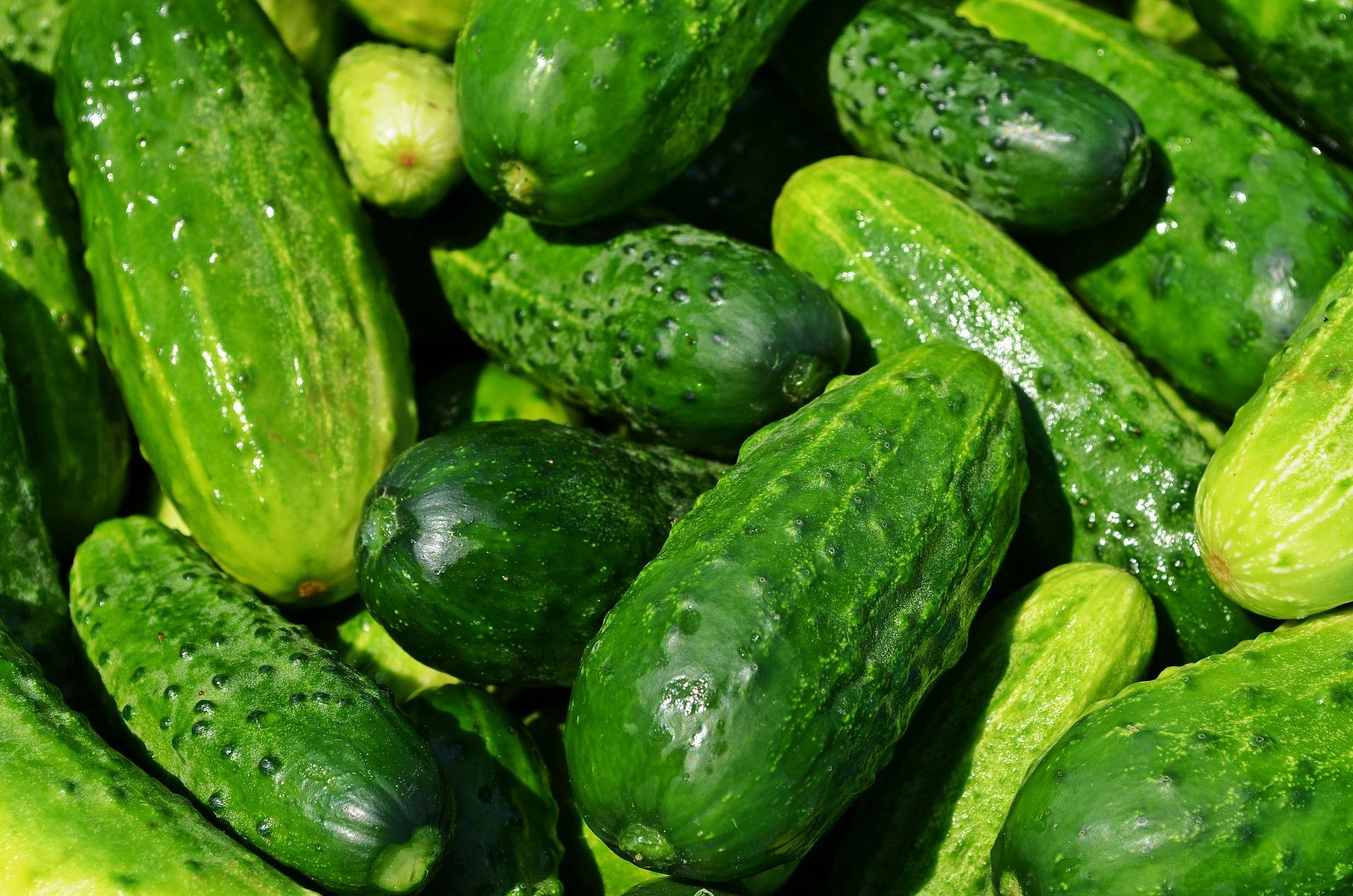 Al principio pasarás hambre, pero luego tu cuerpo se estabilizará y no tendrás antojos.