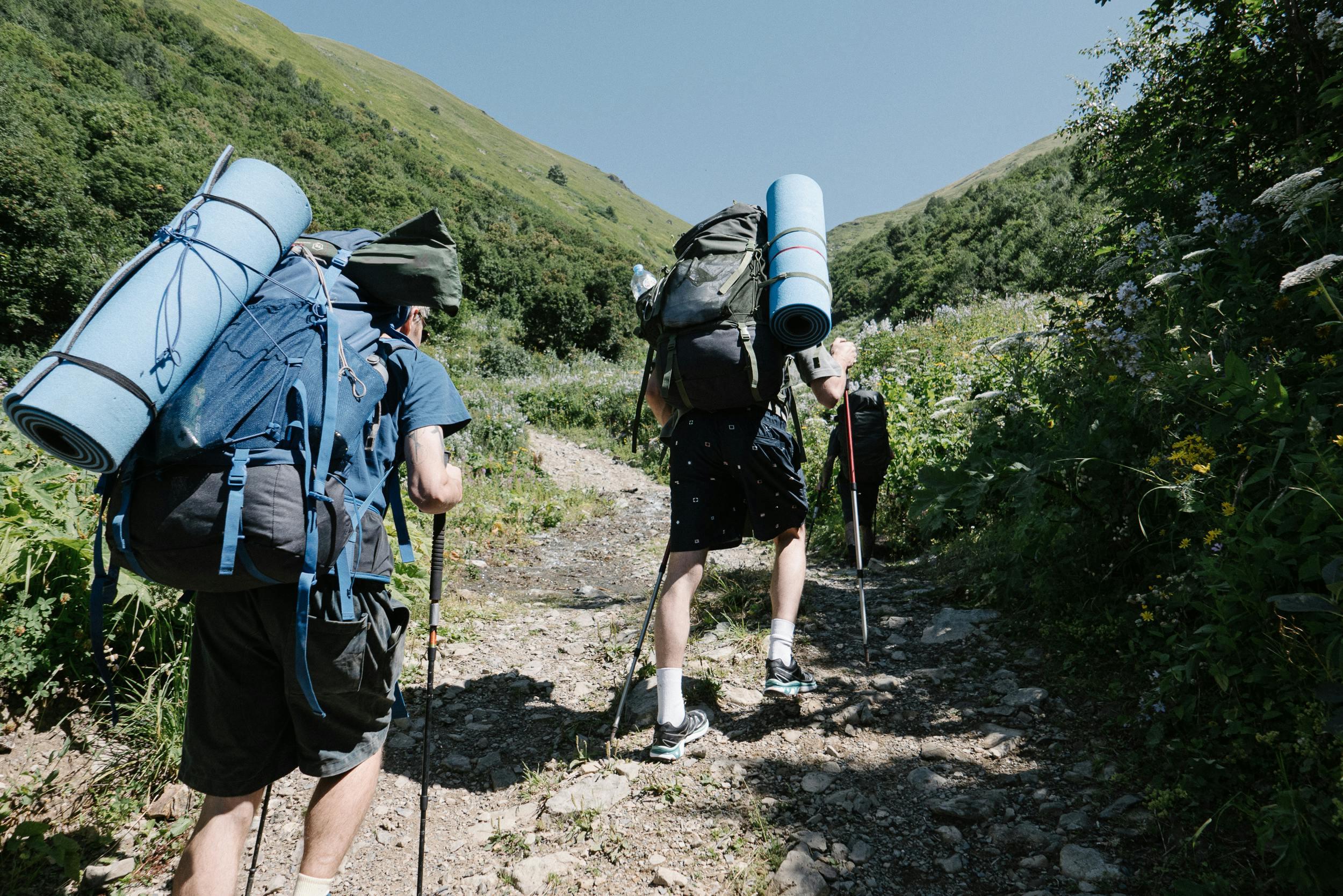 El cerro manquehuito permite hacer un trekking tranquilo de nivel básico.