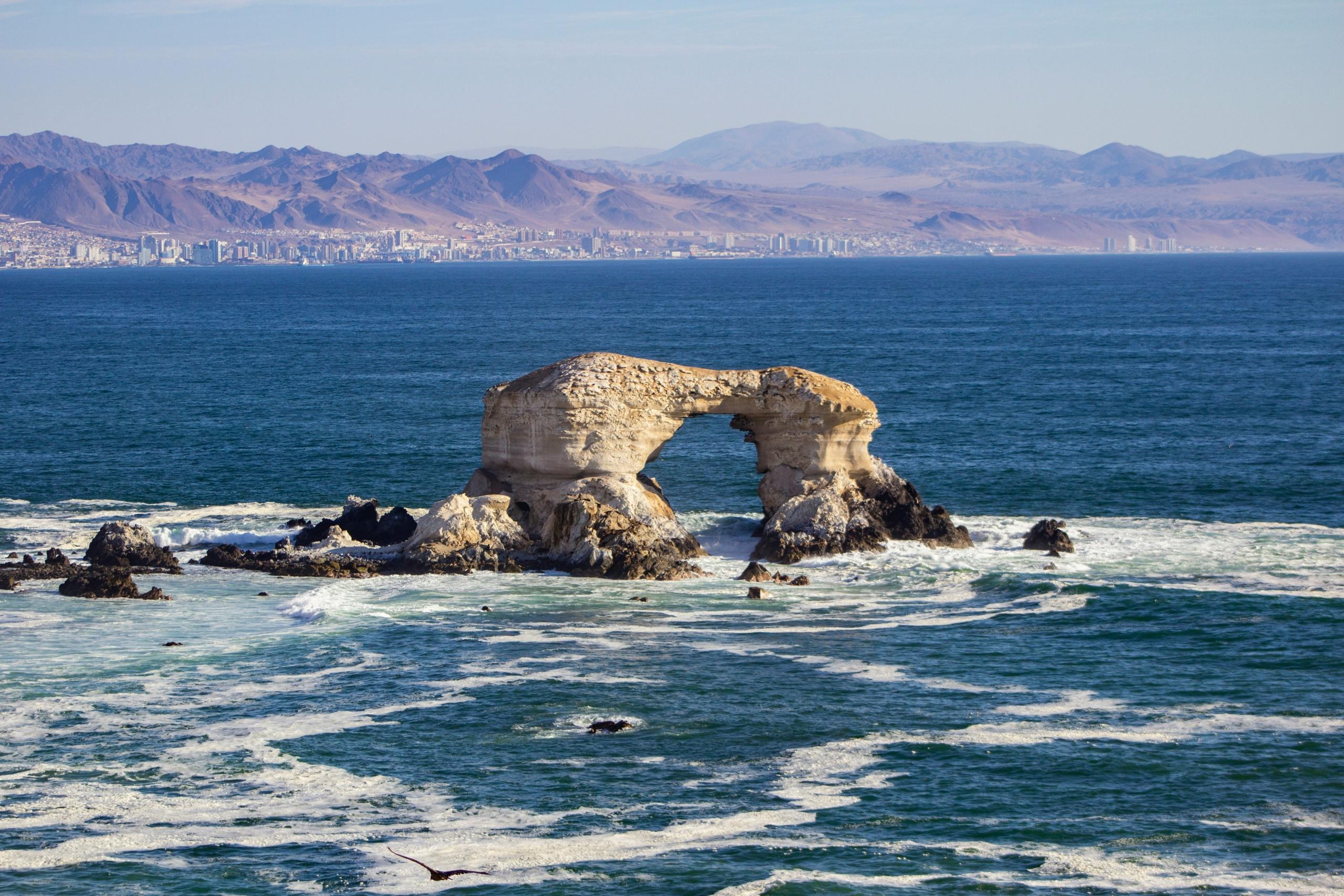 Portada de Antofagasta