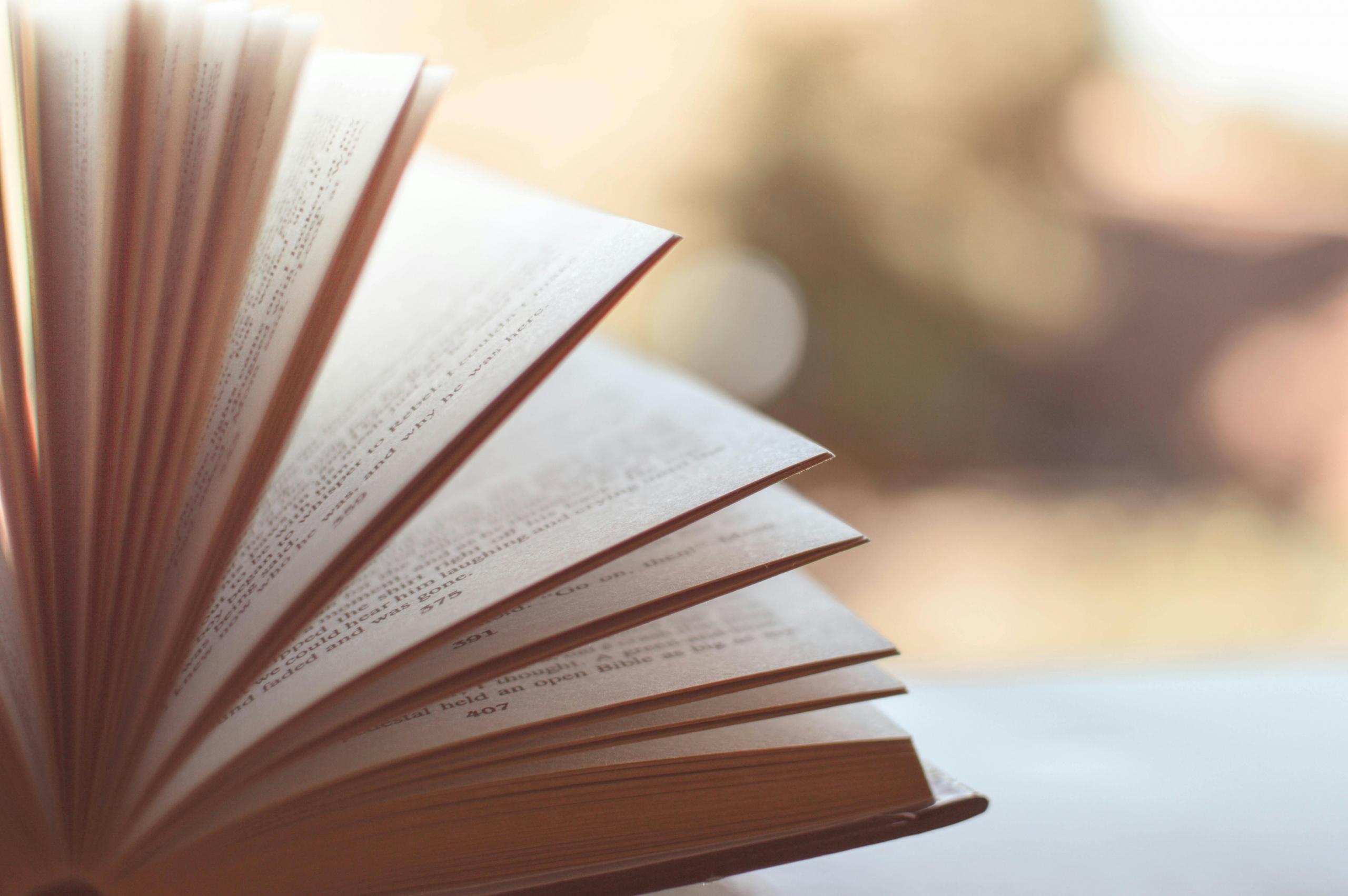 La literatura francesa es una siempre una experiencia que va más allá de la narrativa.