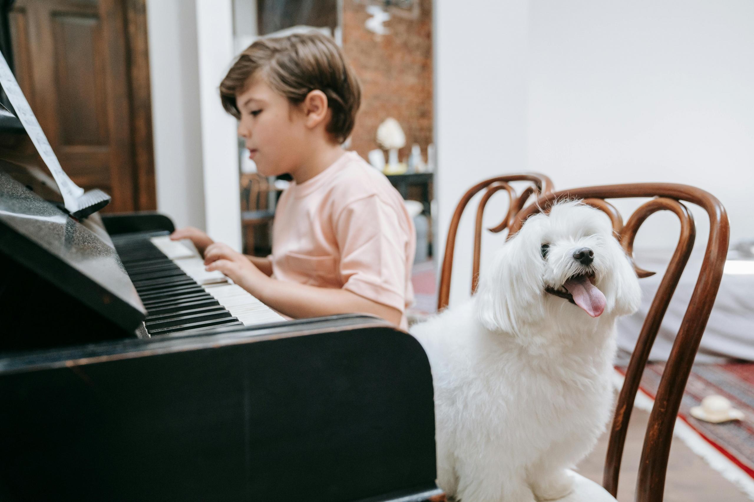 Mientras antes se comience a tocar piano mejor para el aprendizaje.