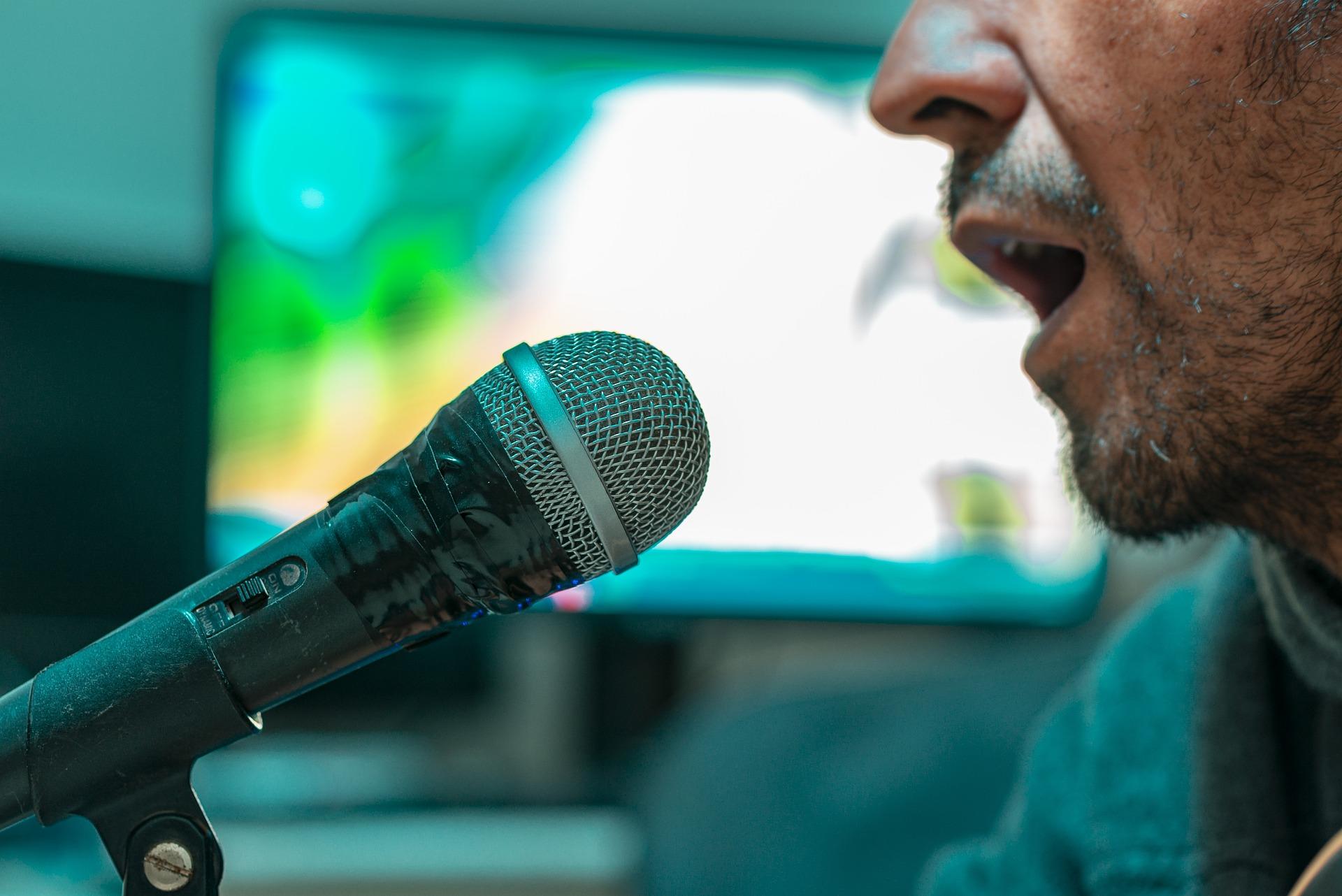 El karaoke es una actividad entretenida para grandes y chicos.