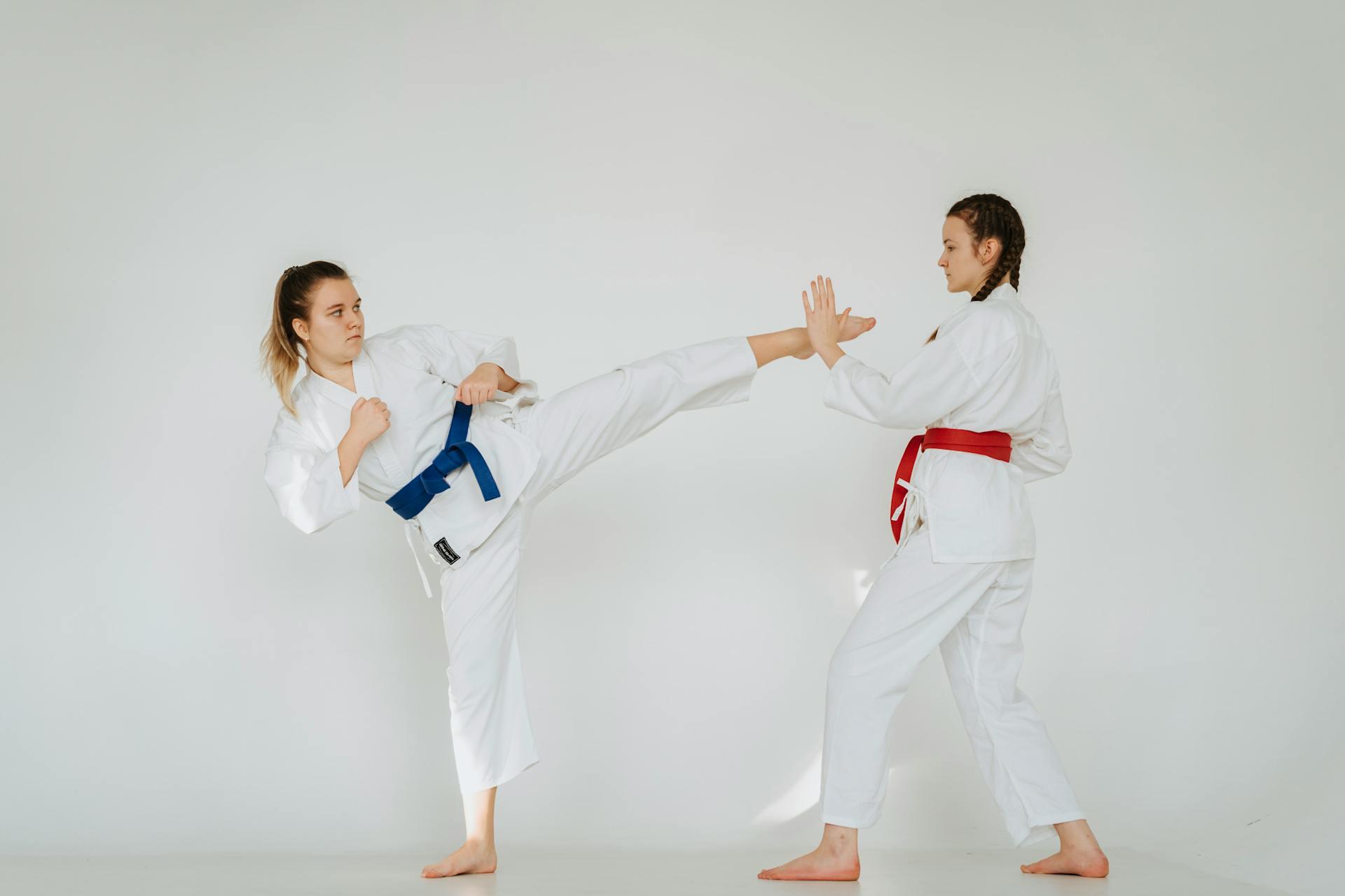 La palabra karate significa mano vacía.