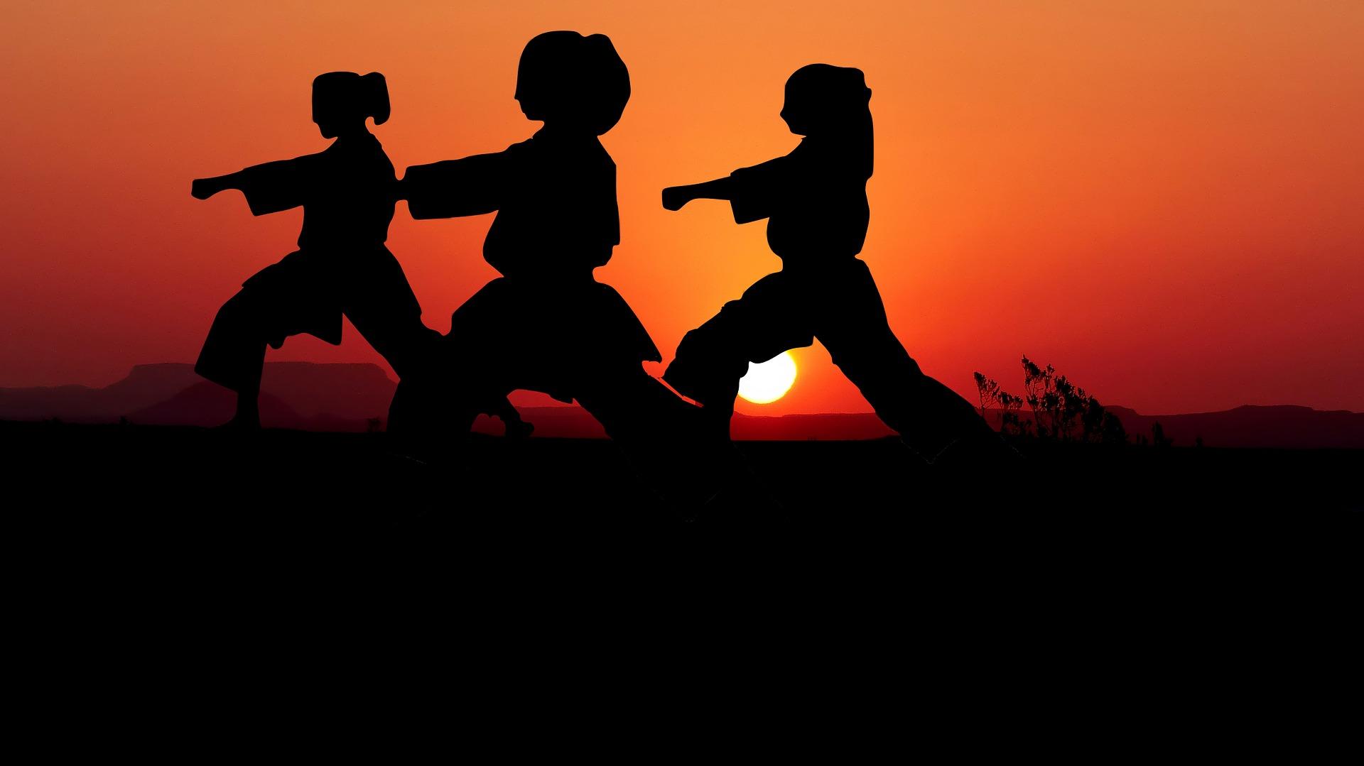El karate se practica en Chile y en todo el mundo.