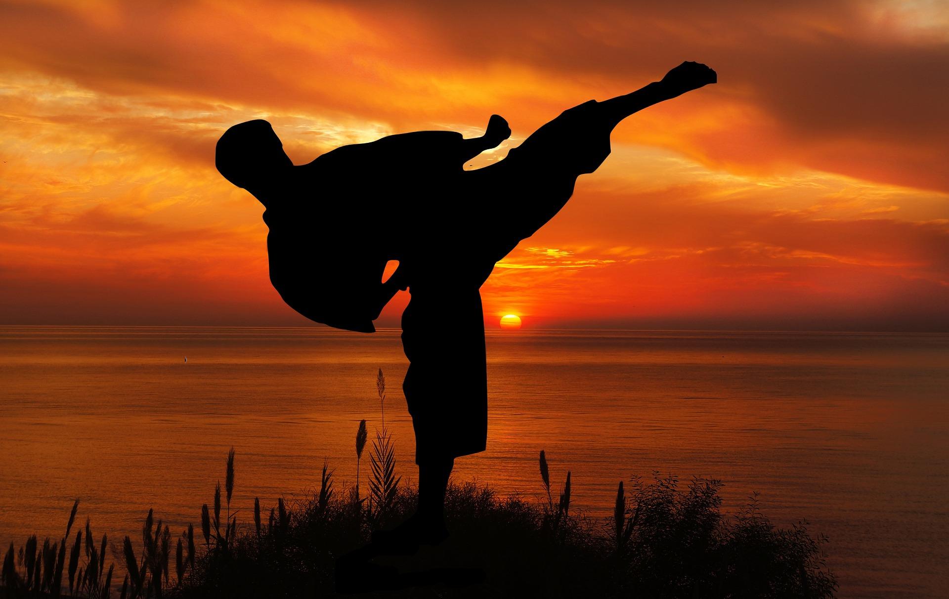 El karate es un arte marcial, de las más practicadas en el mundo.