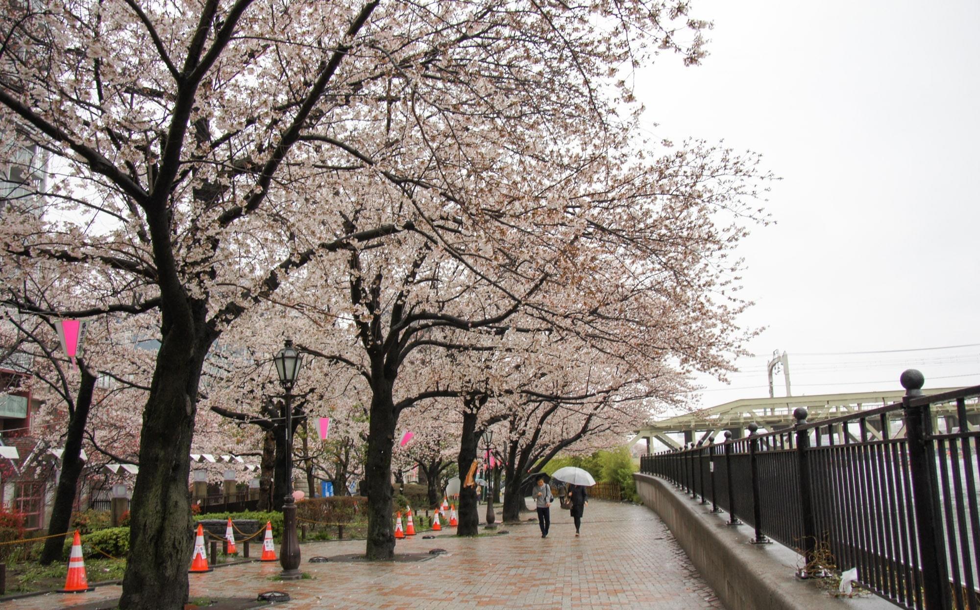 turismo japon