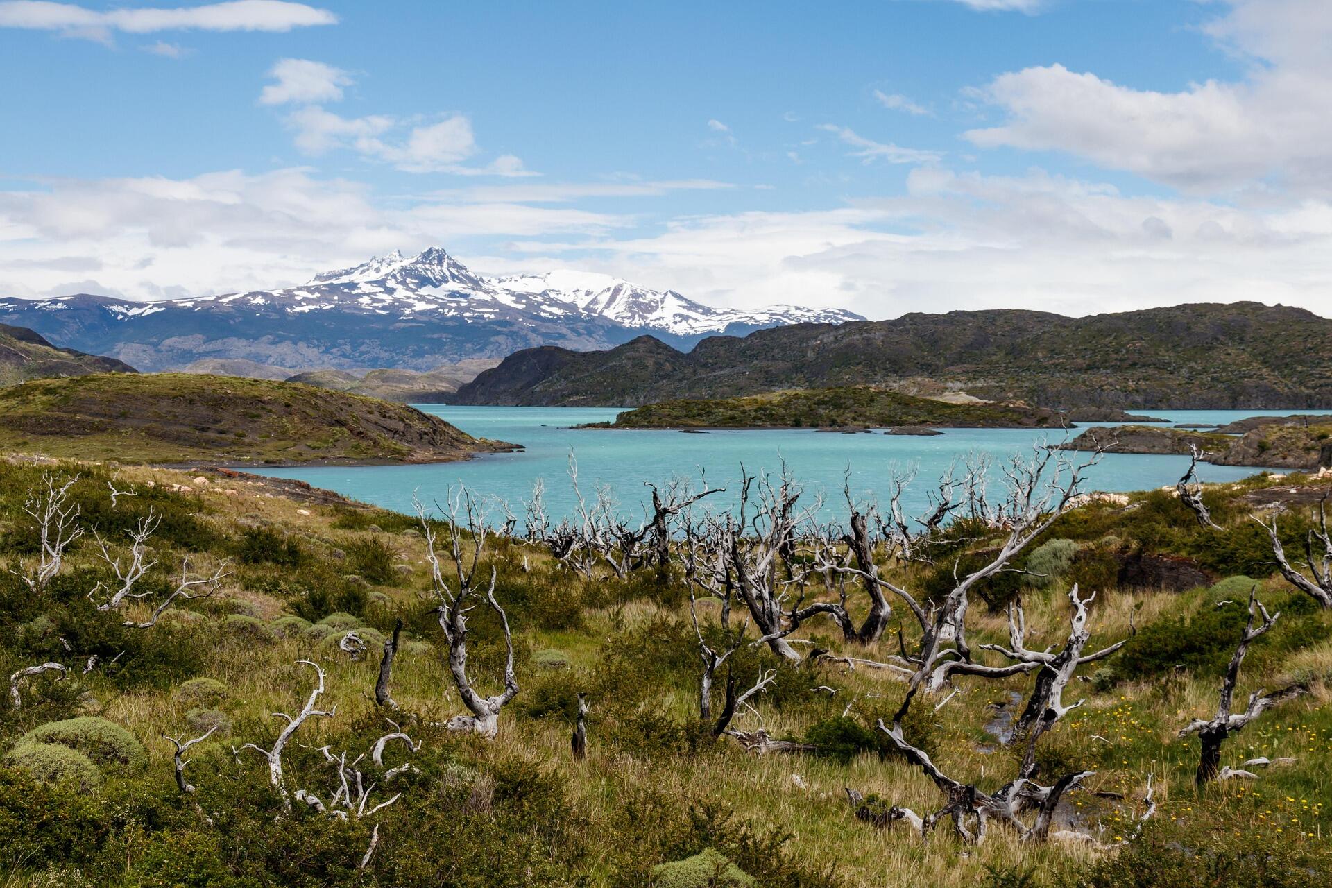 Los lagos de Chile son parte de la hermosura del sur del territorio. 
