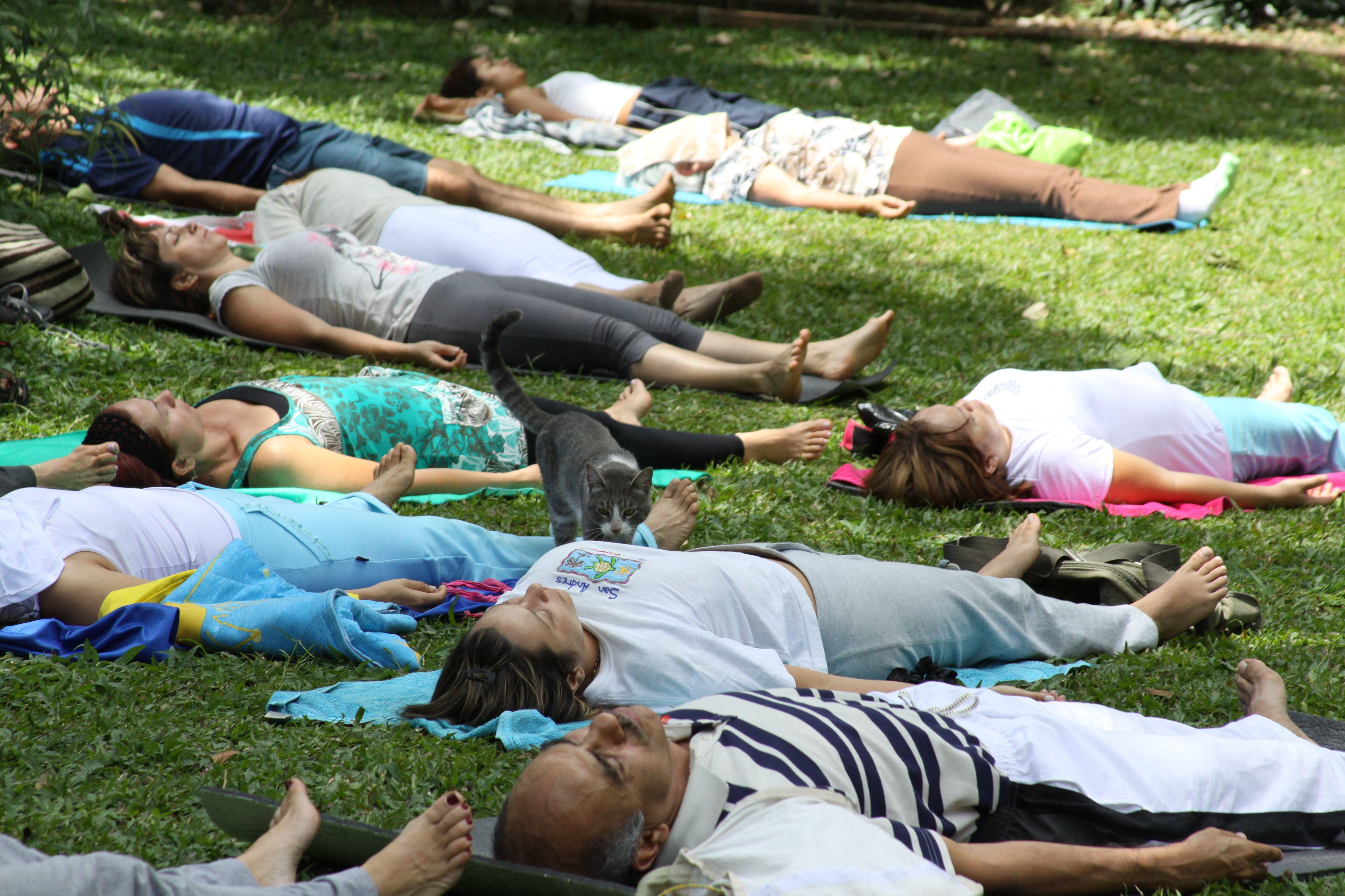 clases diferentes de yoga