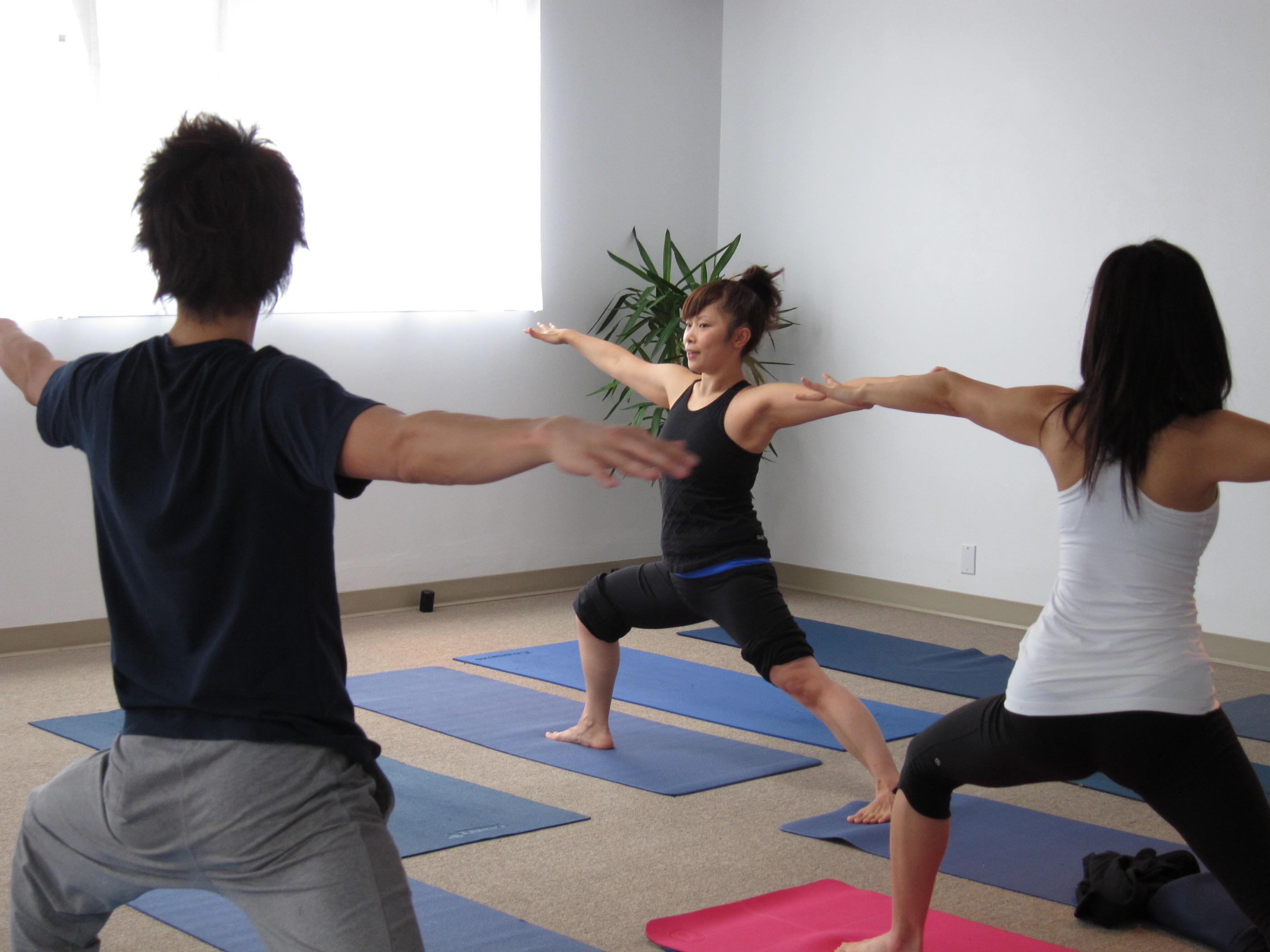 practica el hatha yoga