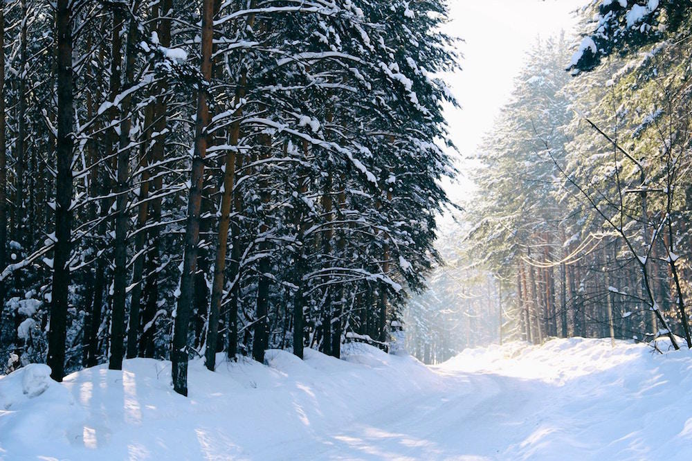 Viajar a Rusia y aprender ruso