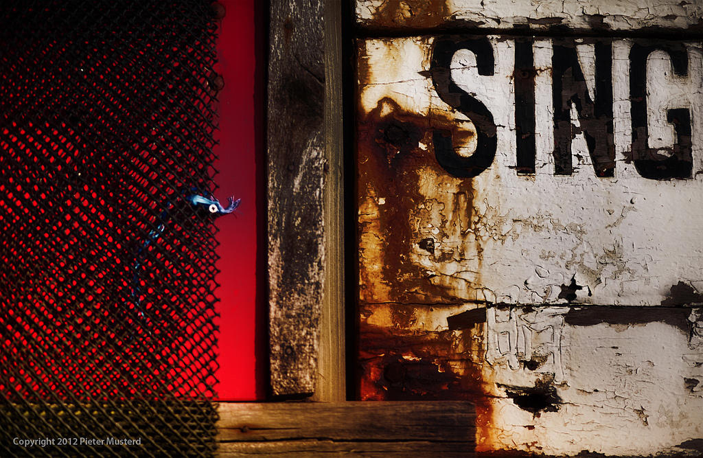 Afinar, aprender canto y solfeo.