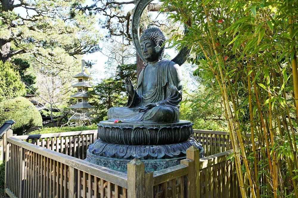 Conoce más sobre el haiku y el zen