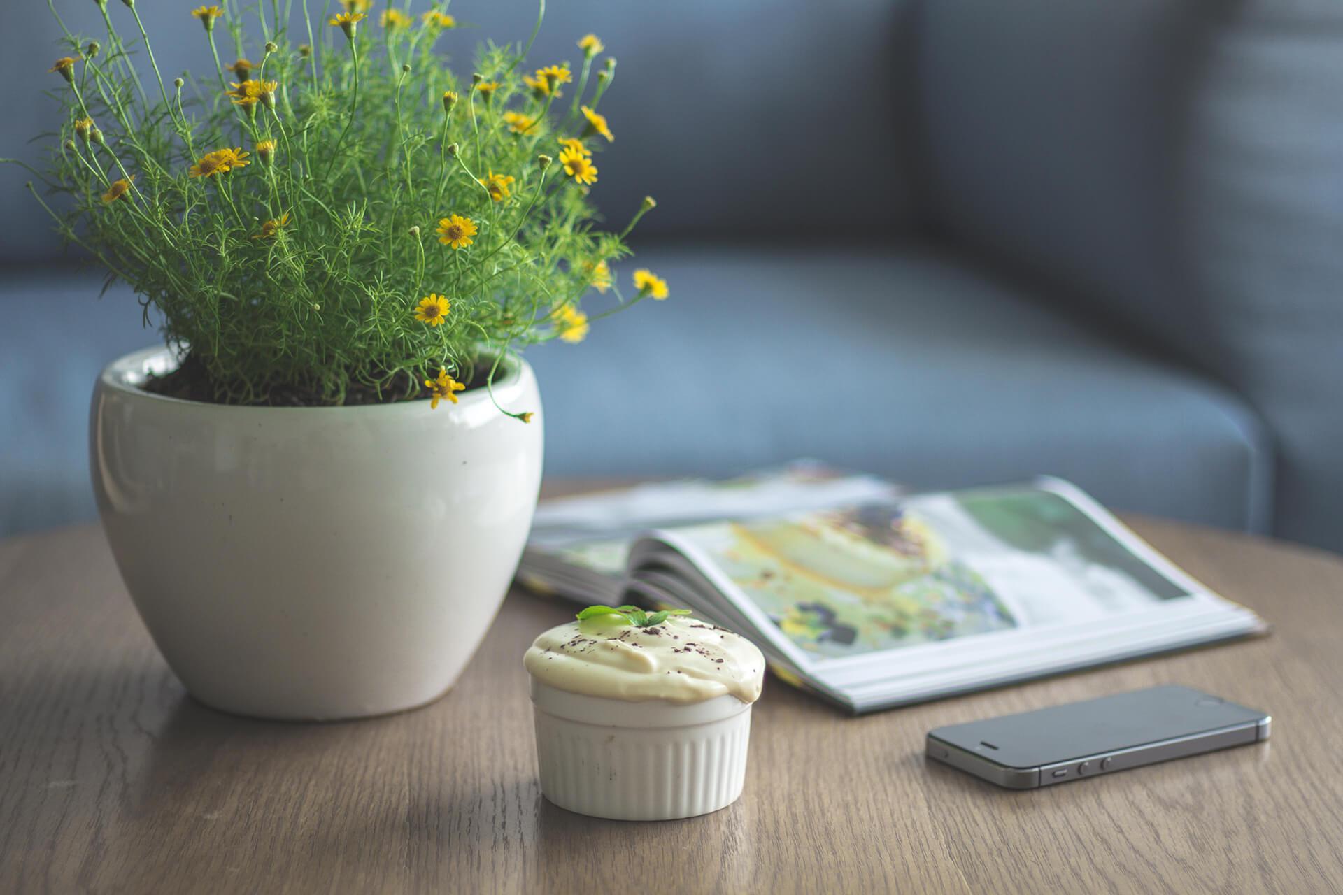 organiza tus vacaciones para trabajar y divertirte