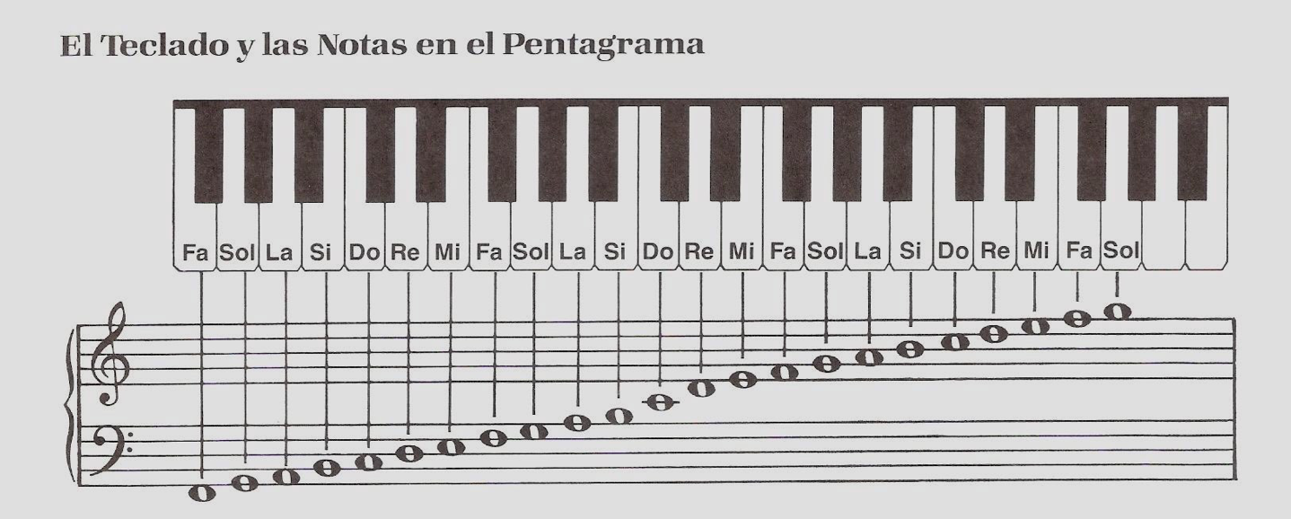 Dibujo de teclado y toda la extensión de las notas musicales