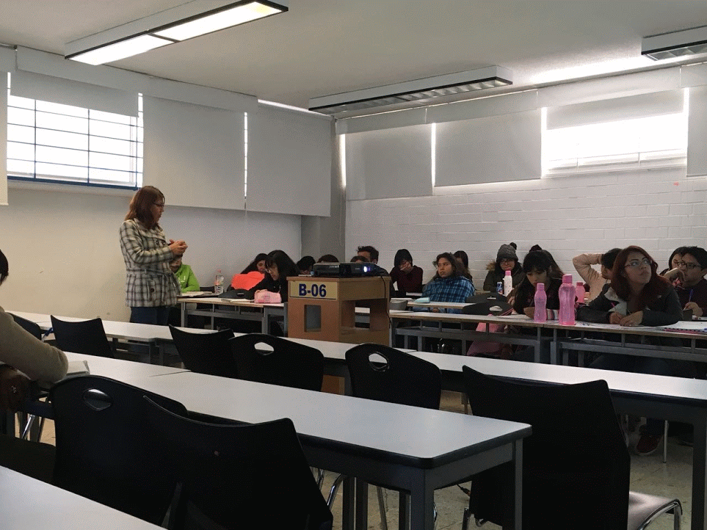 Distintas fotos profesores trabajando con un grupo de estudiantes.