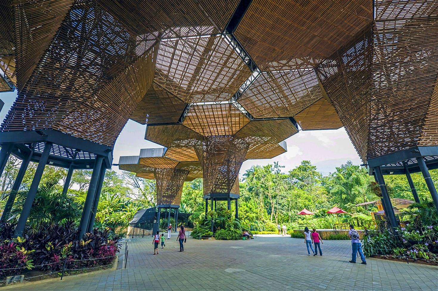 Jardin botánico de Medellin