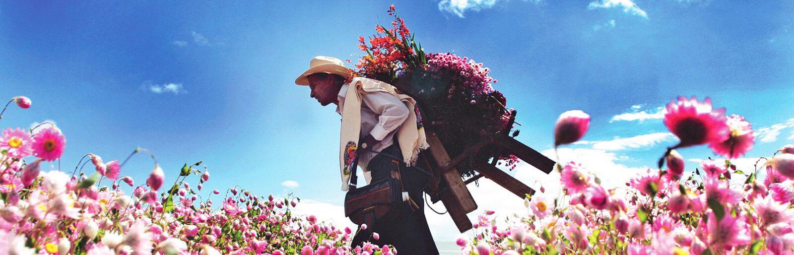 Silletero de feria de flores