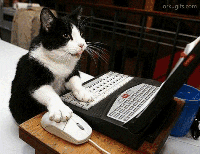 online