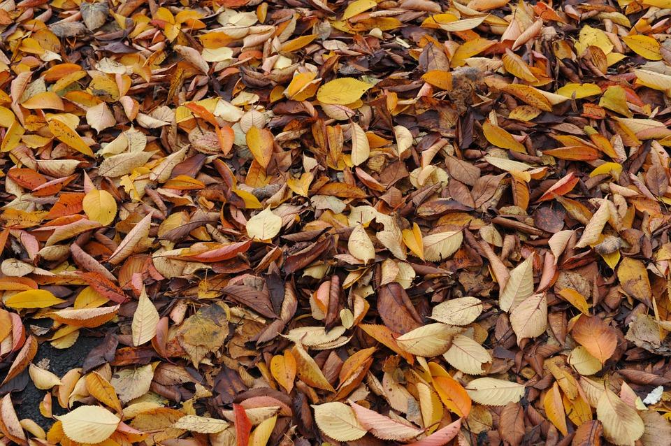 deterioro educación