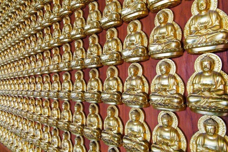 El confucianismo, taoísmo y el budismo en China