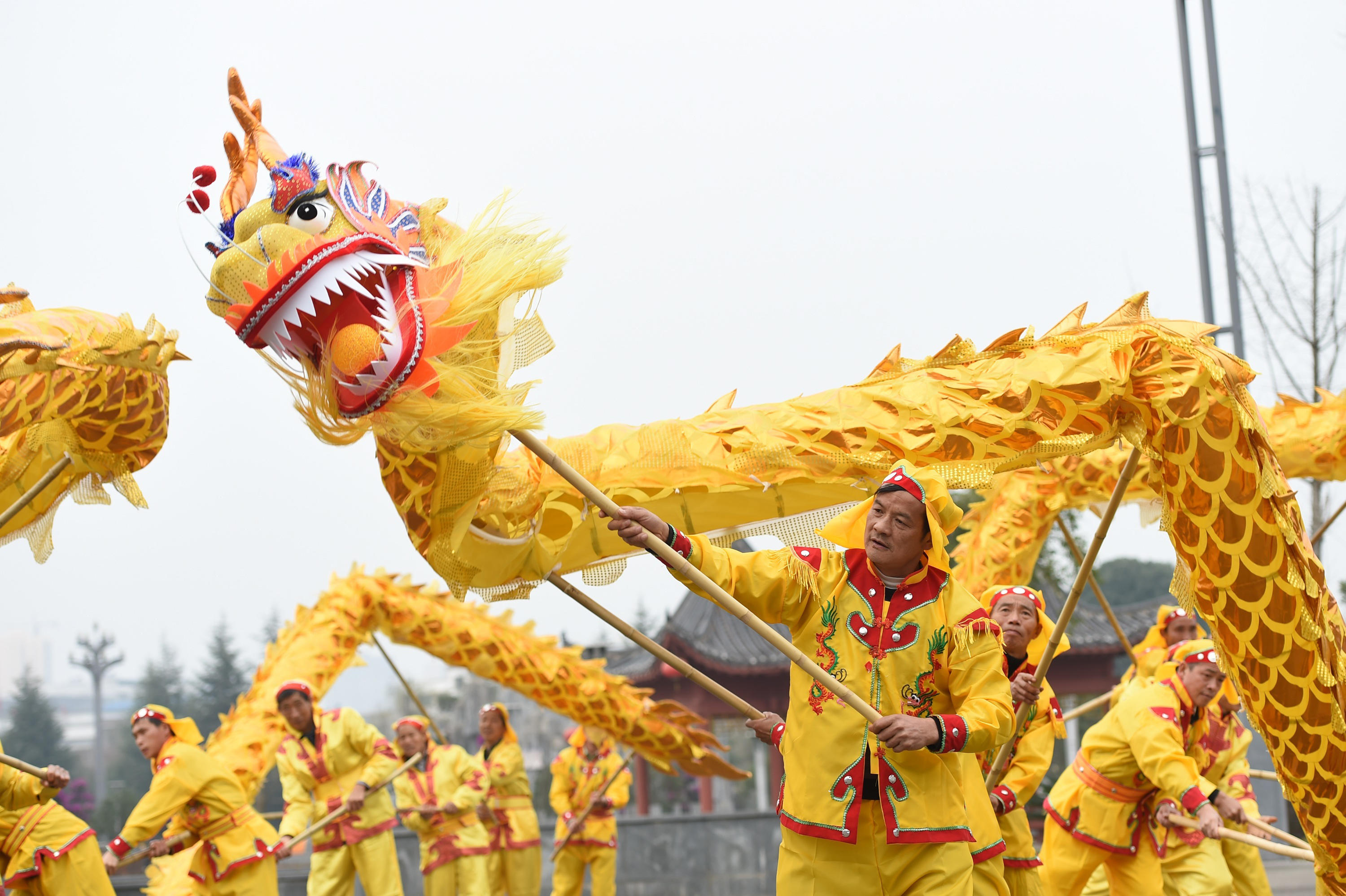 ZUNYI, CHINA - JANUARY 22: Local artists practice dragon dance on January 22, 2017 in Zunyi, Guizhou Province of China. Chinese people perform dragon dance, lion dance and local opera to welcome the upcoming Chinese lunar New Year.