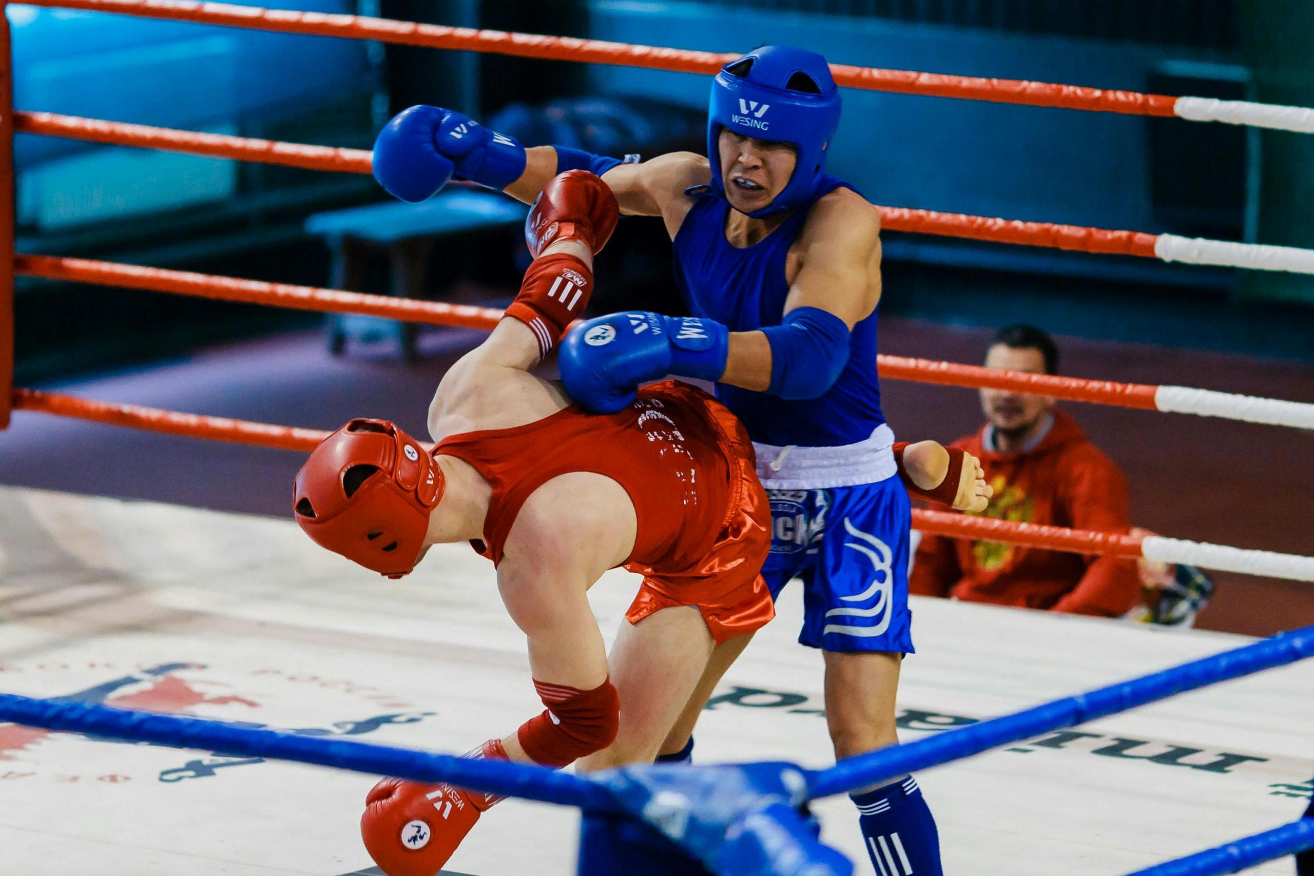 Boxeadores en un real
