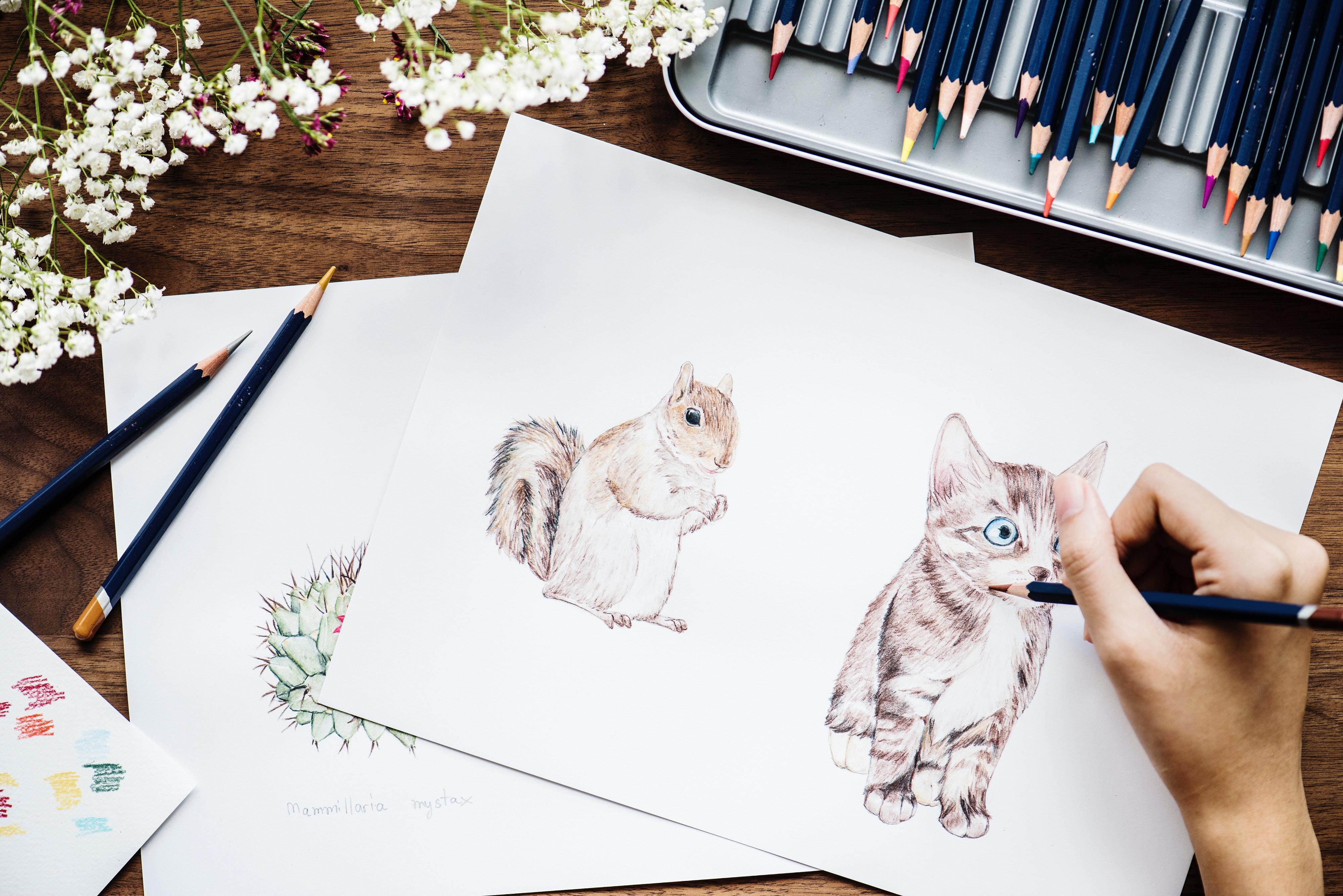 aprender figuras basicas para dibujar