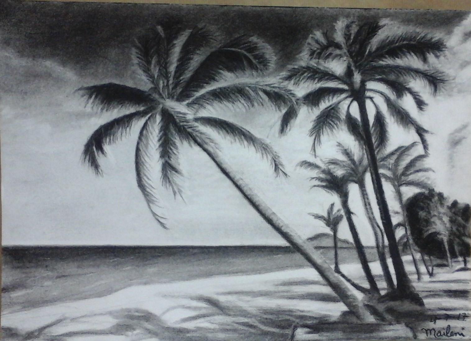 palmeras en la playa