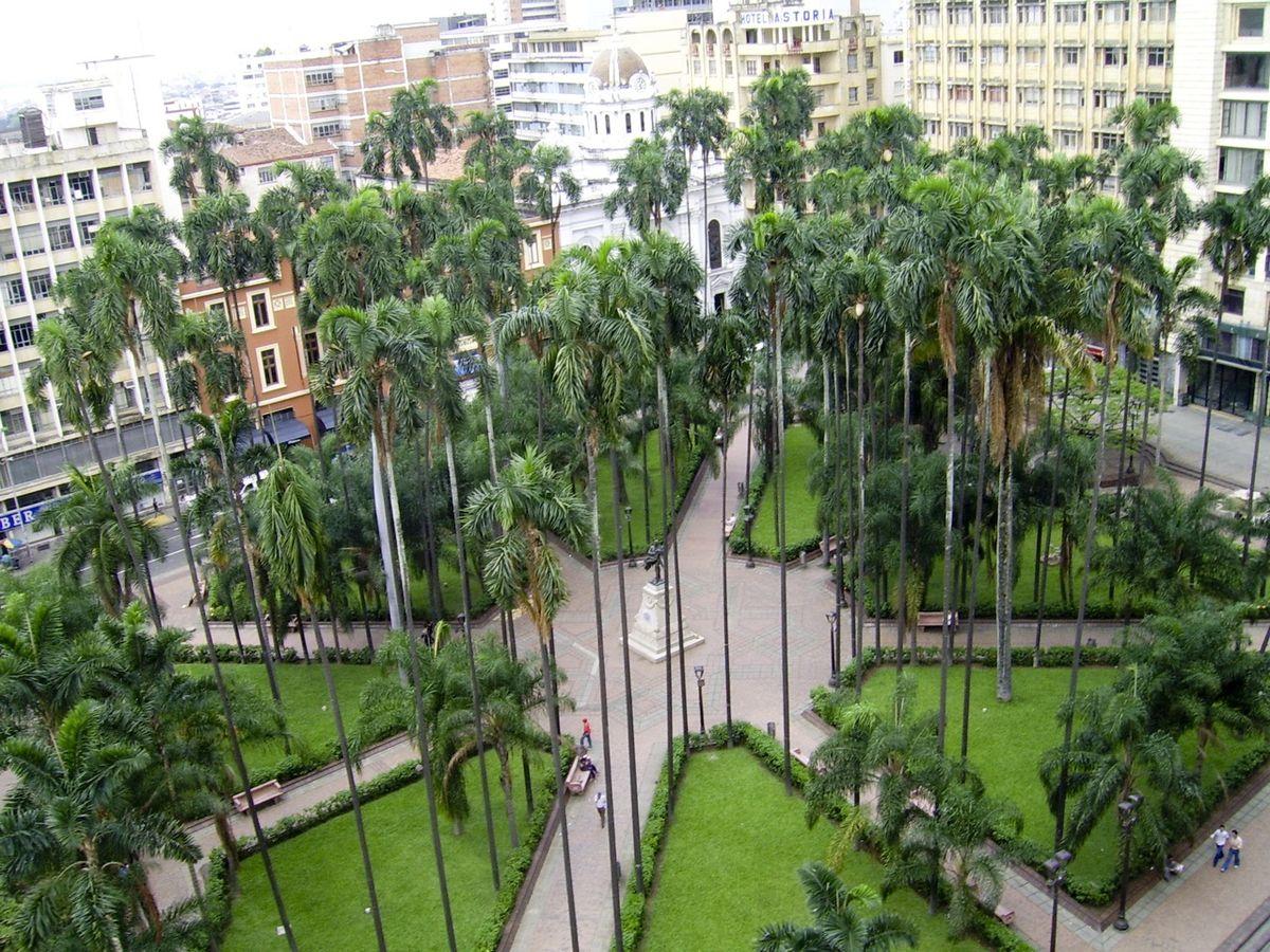 Plaza de Caicedo un lugar perfecto para leer y mejorar tu español.