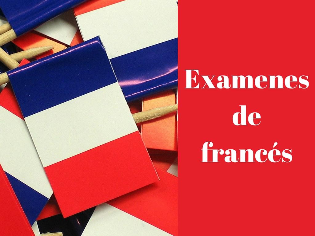 Tus examenes