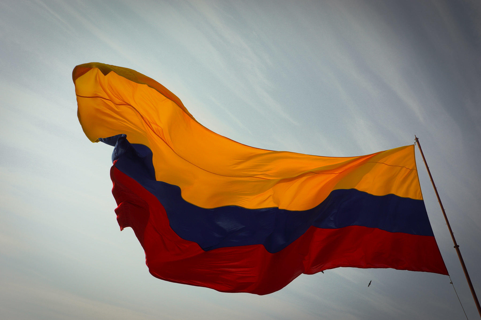 cursos de francés en Colombia