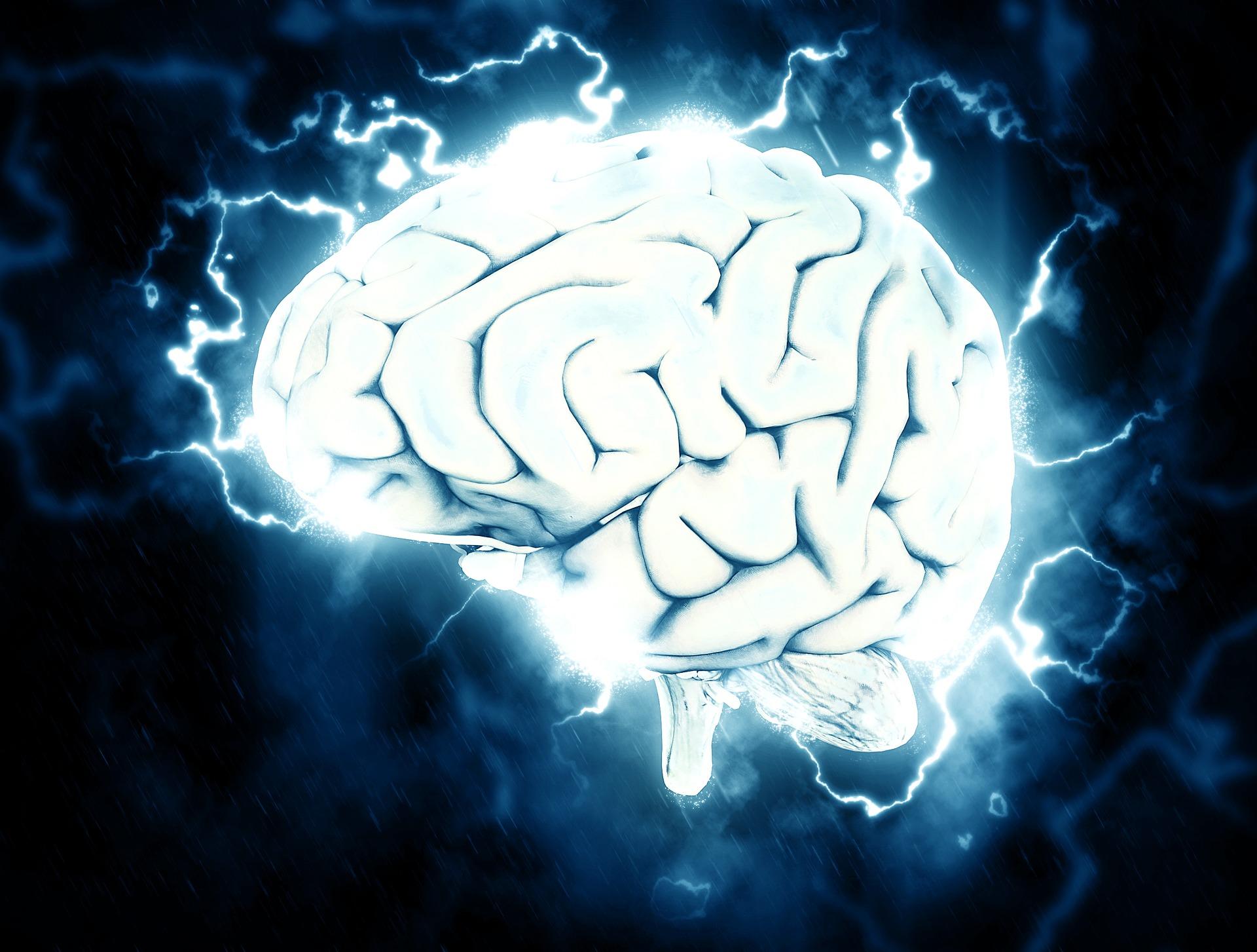 habilidades cognitivas