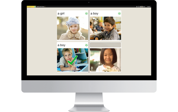 Rosetta stone