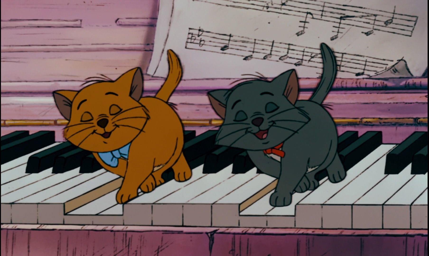 Gatos