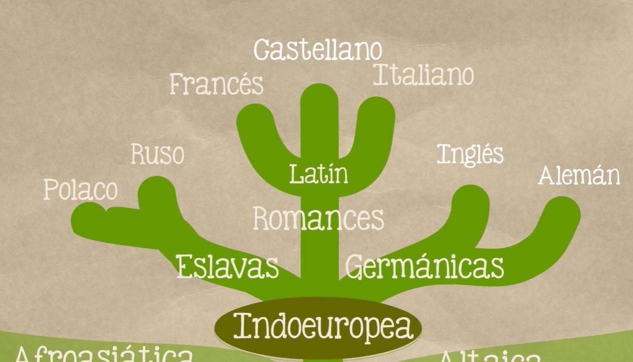 Árbol genealógico que muestra la aparición de diferentes lenguas