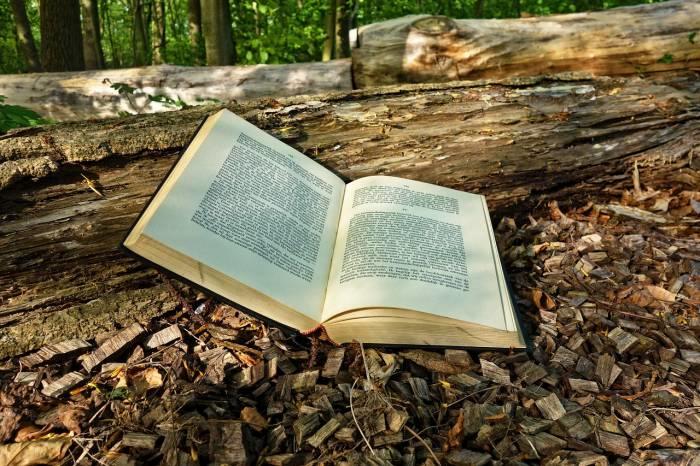 Book
