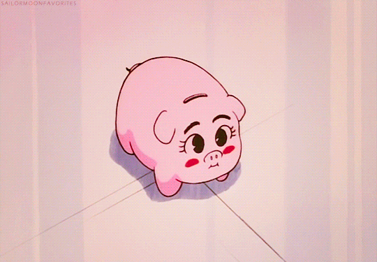 presupuesto para estudiar