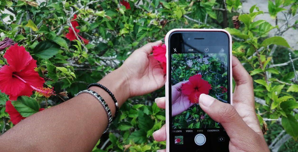 ¿Cuáles concursos de fotografía con celular conoces?