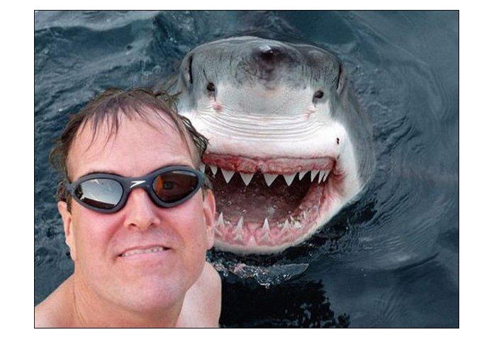 <em> «¡Tiburoncin Uh Ha Ha!, una foto con tu mascota seguro será tendencia.» </em>