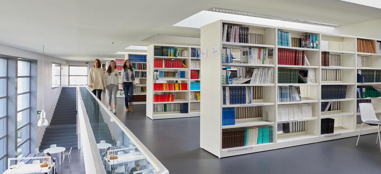 Estudio en la biblioteca