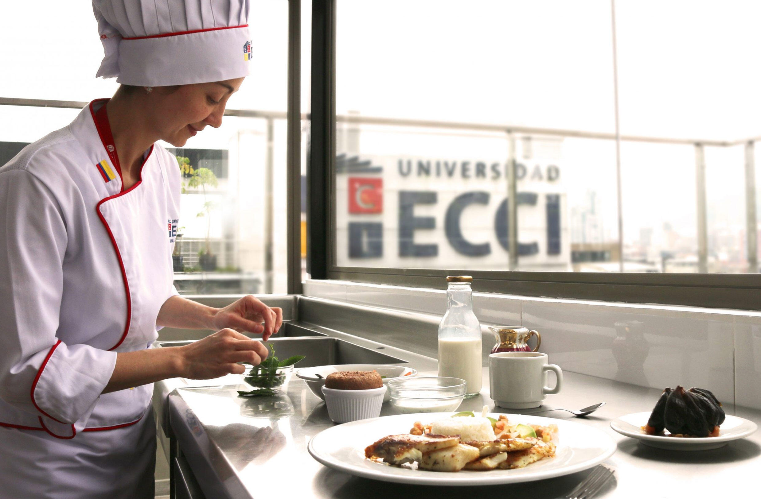 Cocinas profesionales ECCI