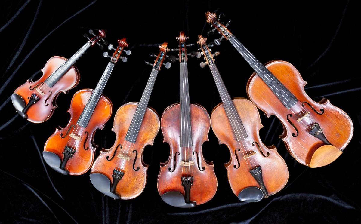 family of different sized violins on black velvet