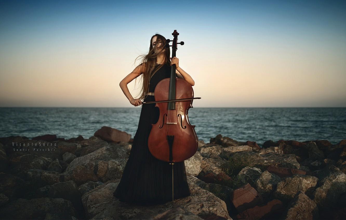 Violinista