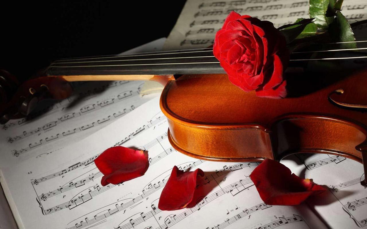 Violin