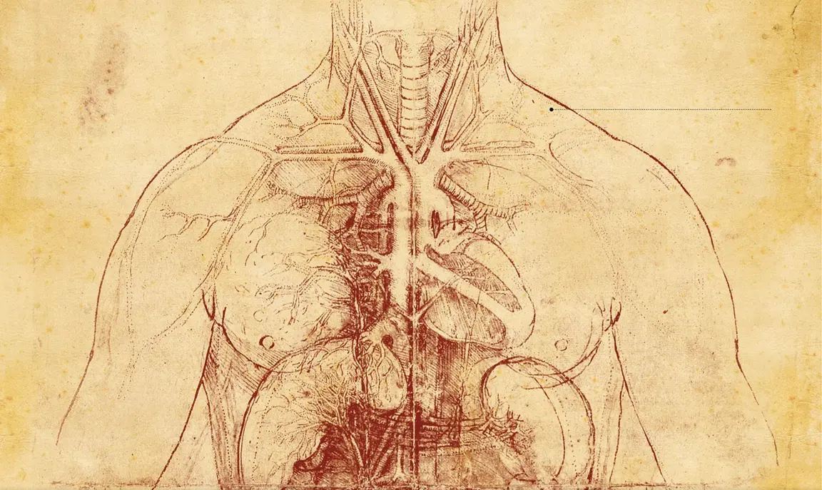 Lo asombroso de la técnica de L. DaVinci radicaba en sus estudios de biología humana en cuanto a la anatomía del cuerpo.